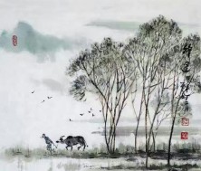 夹丝玻璃