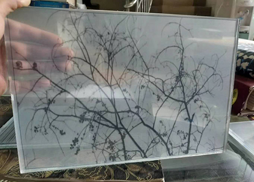 夹丝玻璃